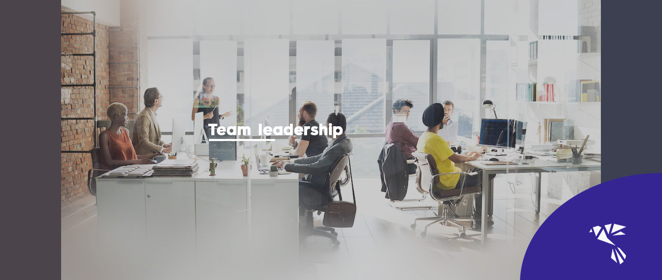 Build Up a Team using Project Leadership/ Project Management