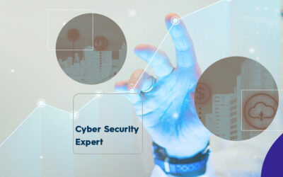 Roles of a Cyber Security Expert and an Ethical Hacker