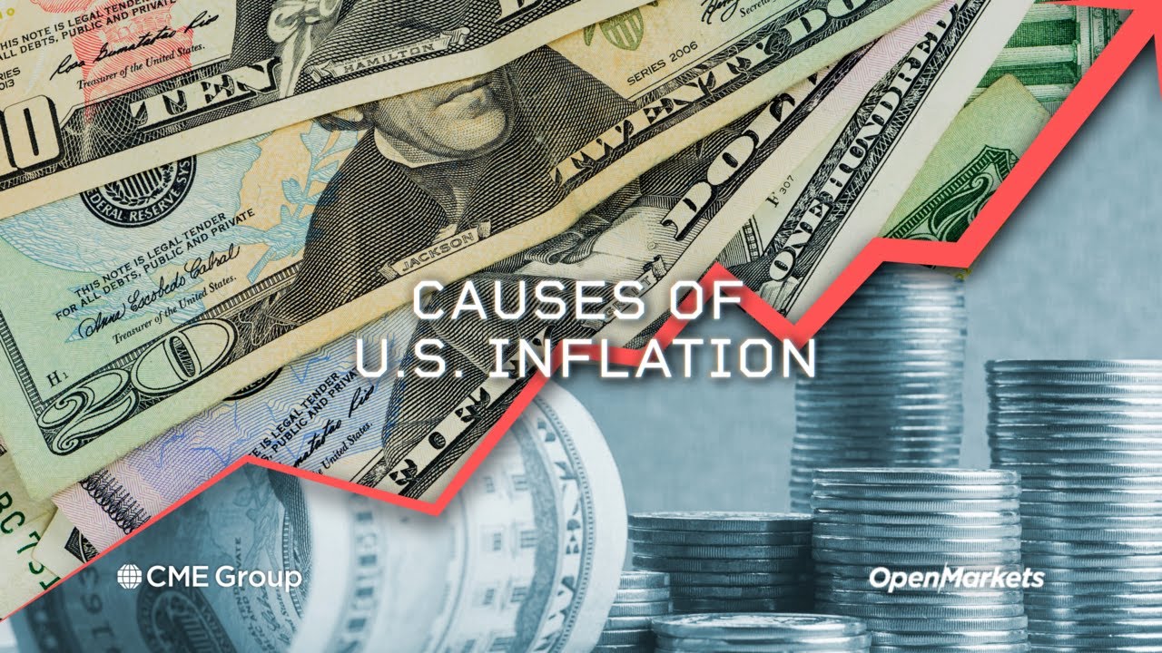 Economist Perspective: Causes of U.S. Inflation from YouTube