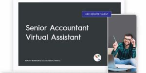 Senior Accountant Virtual Assistant Role Description