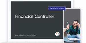 Financial Controller Role Description